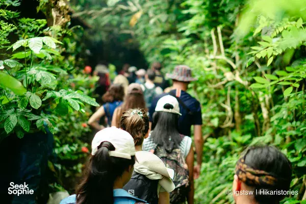 Explore a Hidden Snakefruit Farm & Discover Traditional Balinese Life