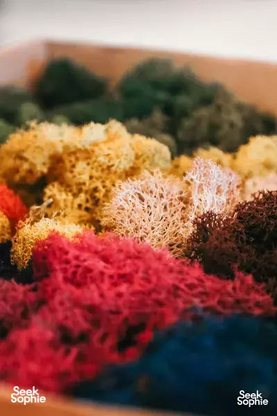 Turn a Miniature World Into a Glowing Desk Lamp