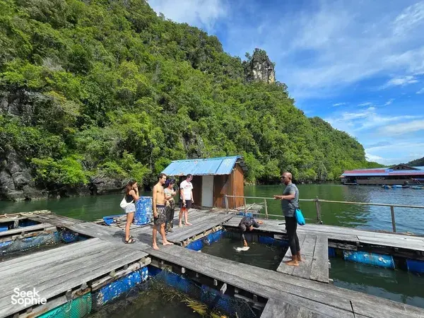 Group prepares to launch kayaks on a wooden dock in Langkawi, with boats moored along the calm waterfront