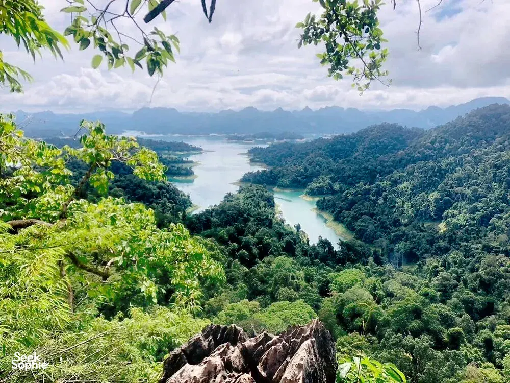 Seek Sophie option picture