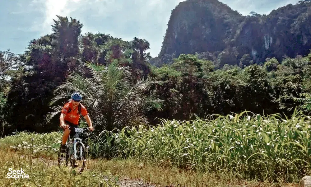 Cyclist on a road bike cycling through tall grass and rainforest with rocky hills behind near Kuching, Borneo