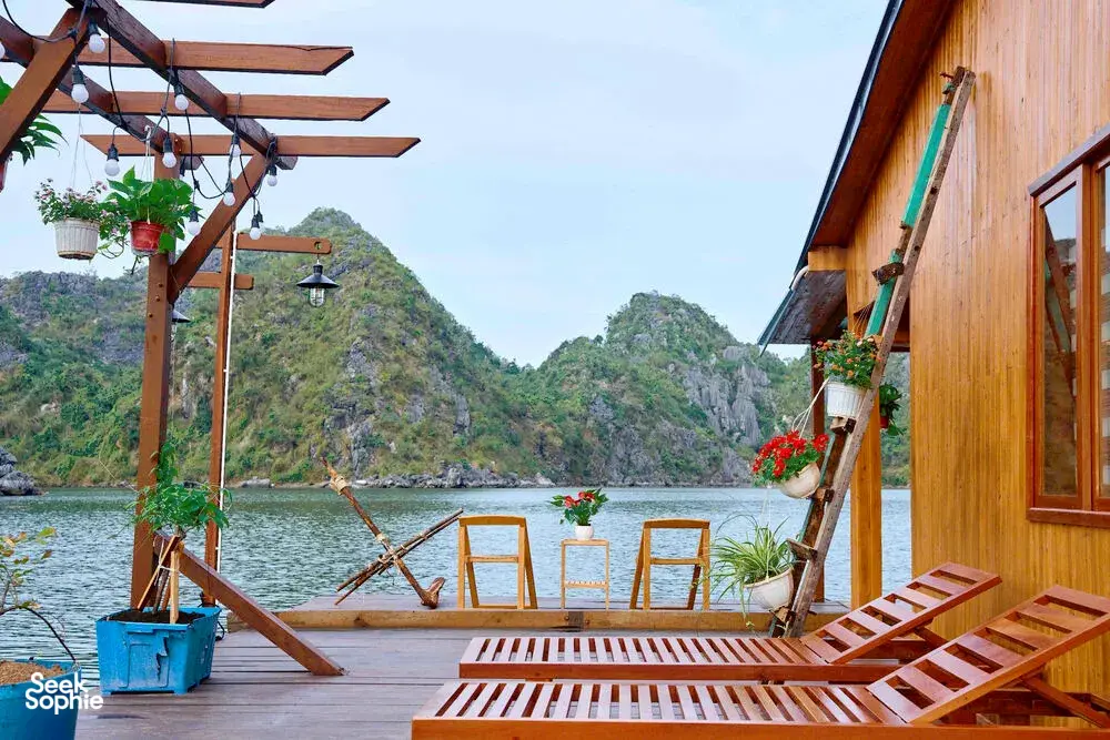 Seek Sophie option picture