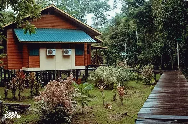 2D1M Safari Sungai Kinabatangan dengan Sepilok & Sorotan Sandakan