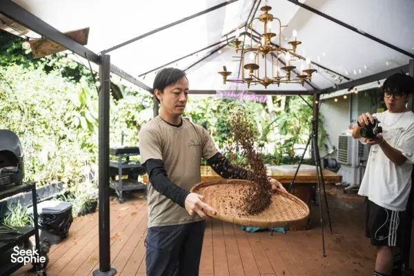 Hands-on coffee roasting in Singapore as roasted beans are scooped from a basket for guests to sample — workshops in Singapore