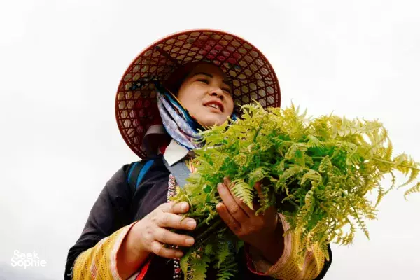 Sapa Off-Grid Trek with Social Enterprise