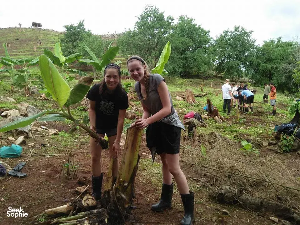 Seek Sophie option picture