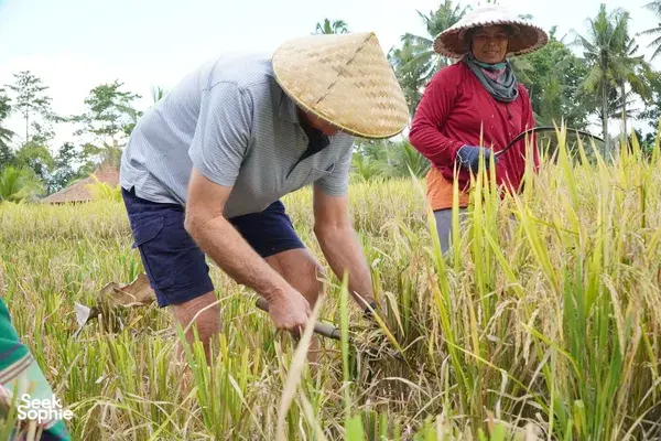 Ubud's Hidden Gem: Sustainable Farming + Cooking in Bali Rural Life