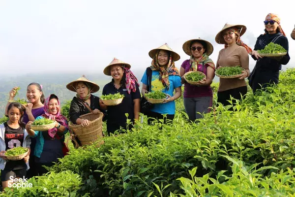 Travellers in wide-brim hats carrying woven baskets through a lush hillside plantation, part of the Sandakan & Sepilok transfer