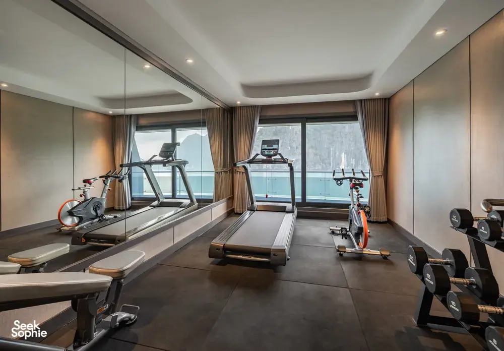 Shipboard gym on Doris Cruise with treadmills and rowing equipment, framed by panoramic windows looking out over Halong Bay