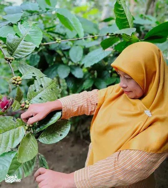 A Coffee Journey with Yogyakarta's Artisan Coffeemaker