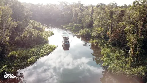 Aerial view of a houseboat travelling through jungle-lined river in Tanjung Puting, Pangkalan Bun, for orangutans
