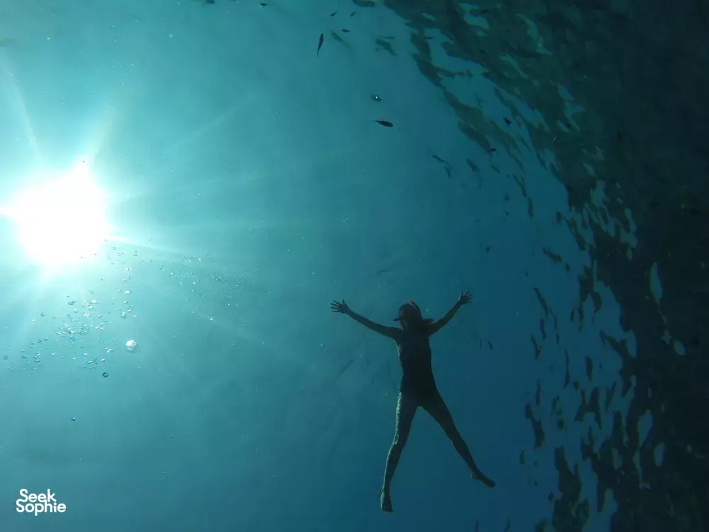 Seek Sophie option picture