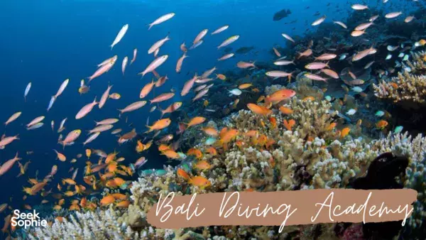 Fun Dive In Tulamben **Dive By The Shore