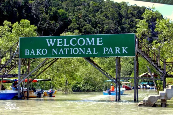 Bako National Park Day Trip | With Local Naturalist Guides