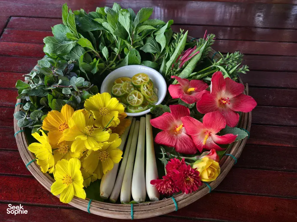 Seek Sophie option picture