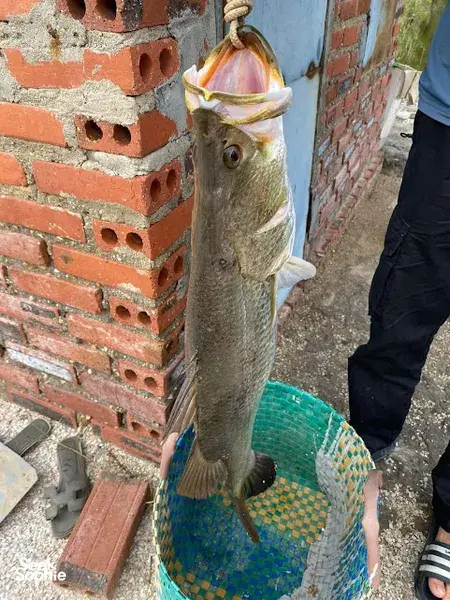 Cat Ba Fishing Escape with Local Fisherman’s Hotpot