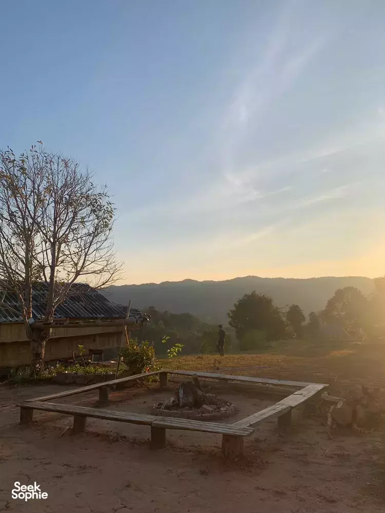 Seek Sophie option picture