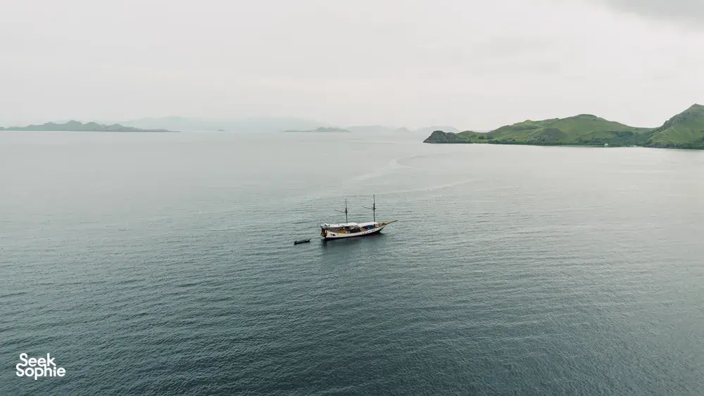 Seek Sophie option picture