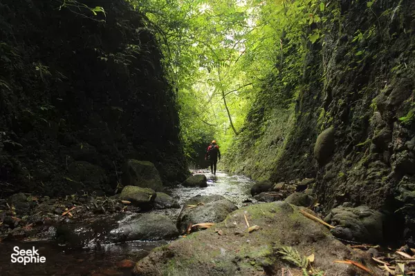 Springs Canyon | Your first canyoning experience