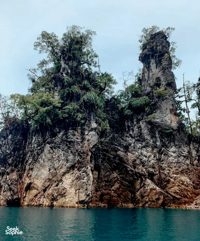 Seek Sophie option picture