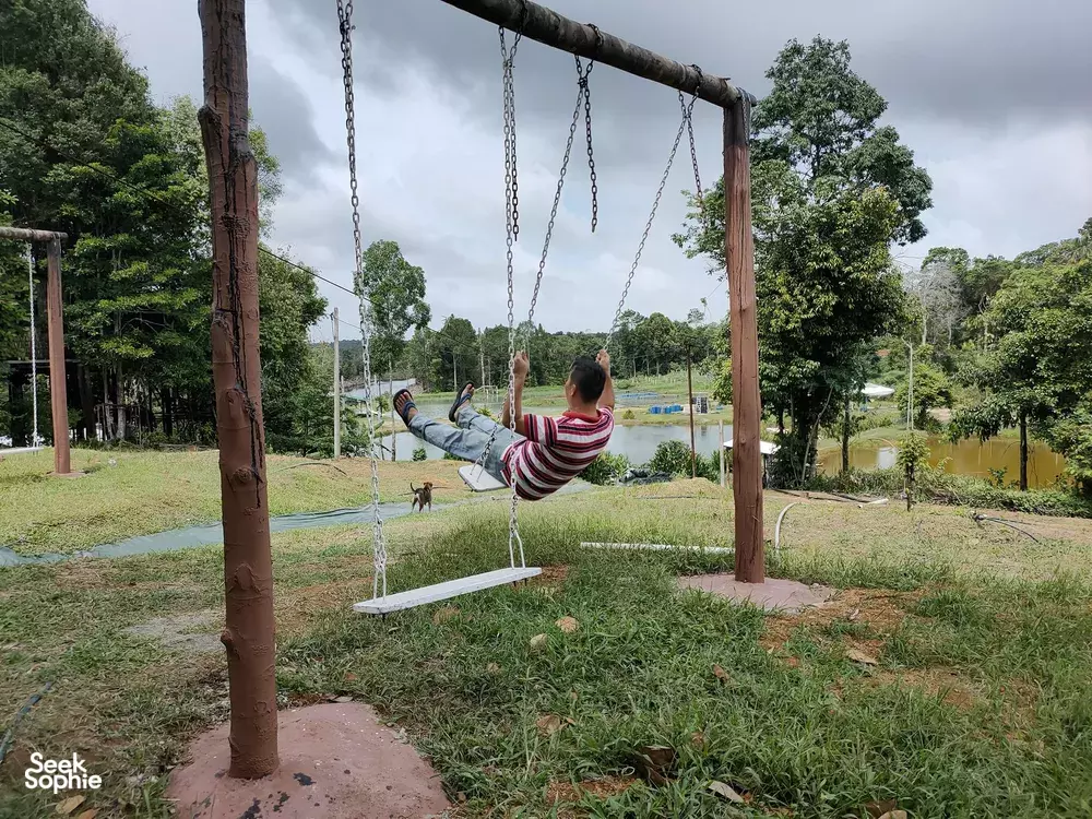 Seek Sophie option picture