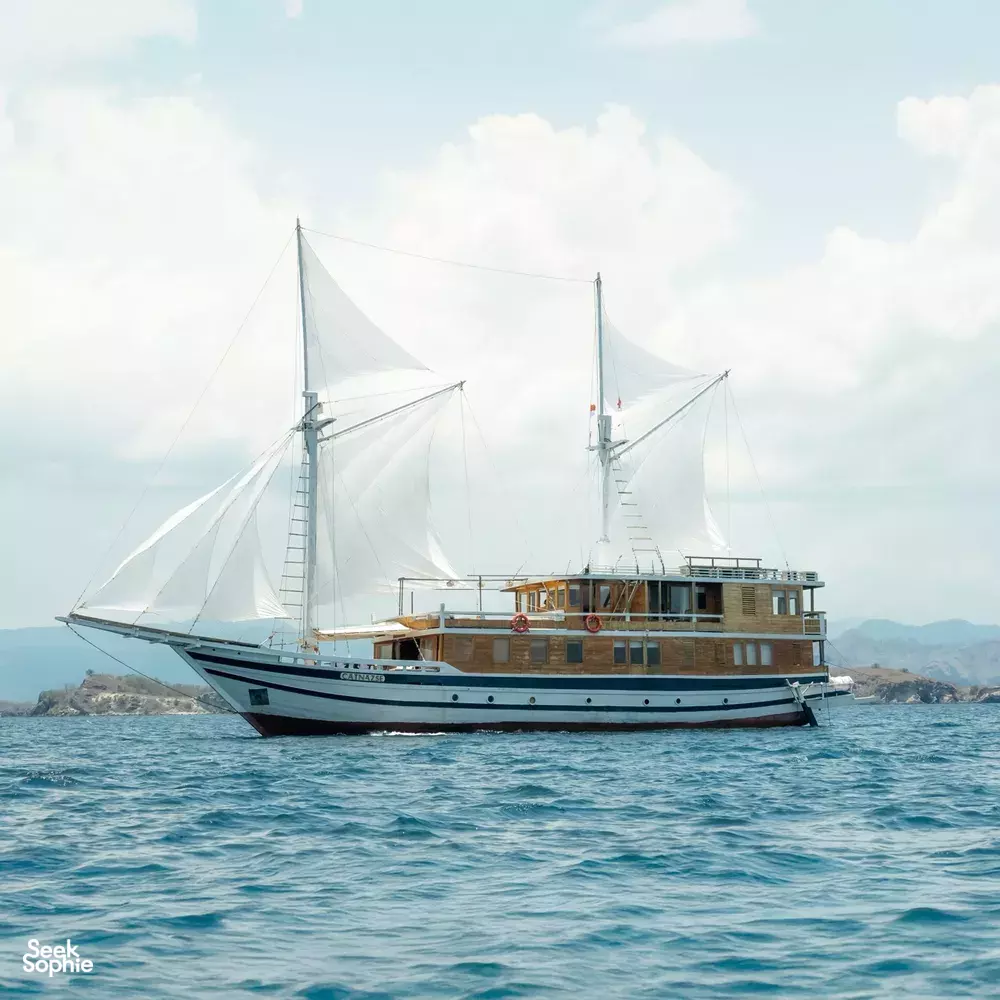 Seek Sophie option picture