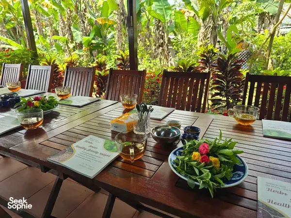 Discover the Healing Magic of Plants with Seasoned Herbalist