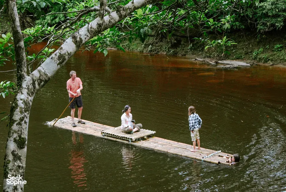 Seek Sophie option picture