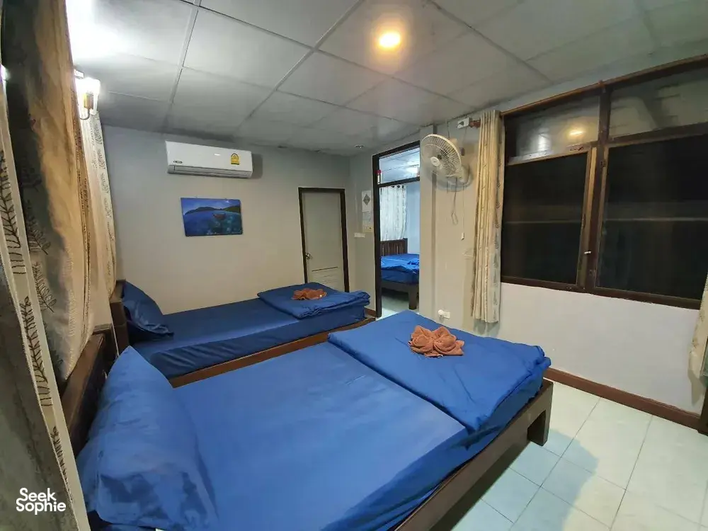 Seek Sophie option picture