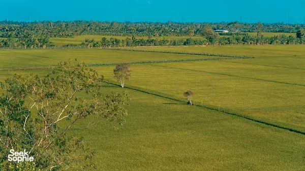 Vast green fields and winding paths in the Mekong Delta under a clear blue sky, seen from above near farmland waterways