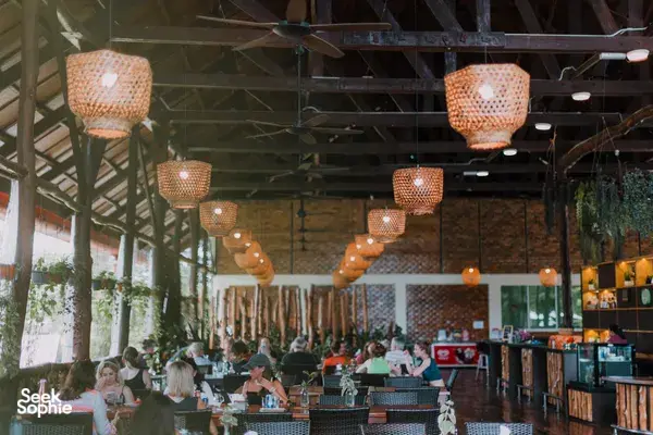 3D2N Borneo Wildlife Combo | Sepilok Orangutans + Kinabatangan River