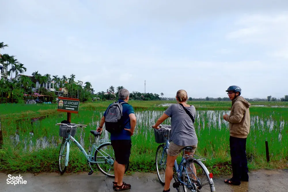 Seek Sophie option picture