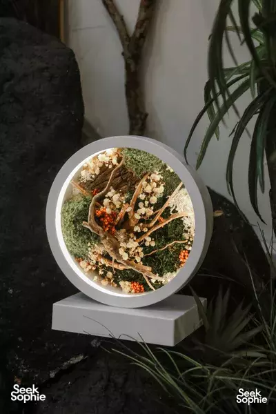 Make Mood Lamp with Beautiful Moss