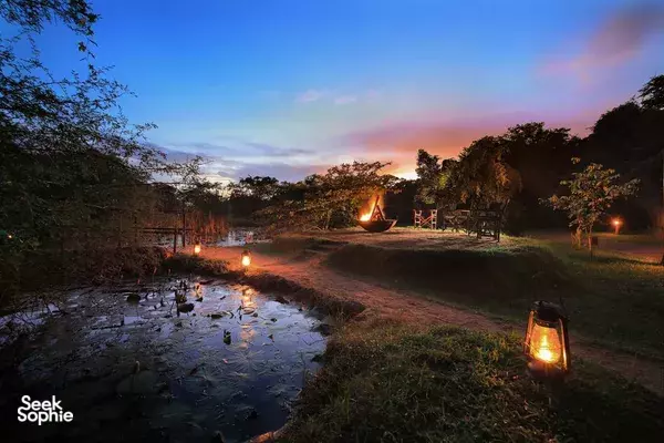 Wilpattu camp at sunset for Leopard Trails, with lanterns along a small walkway and a warm fire glow beside trees