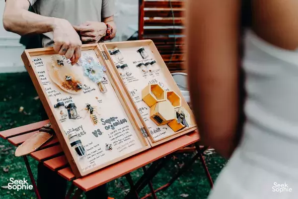 Bertemu Lebah, Semut, dan Cacing (Favorit untuk anak-anak!)