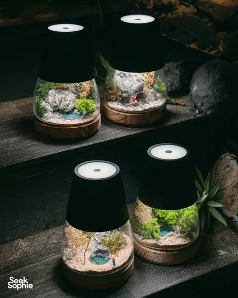 Create Your Own Miniature World in a Lamp