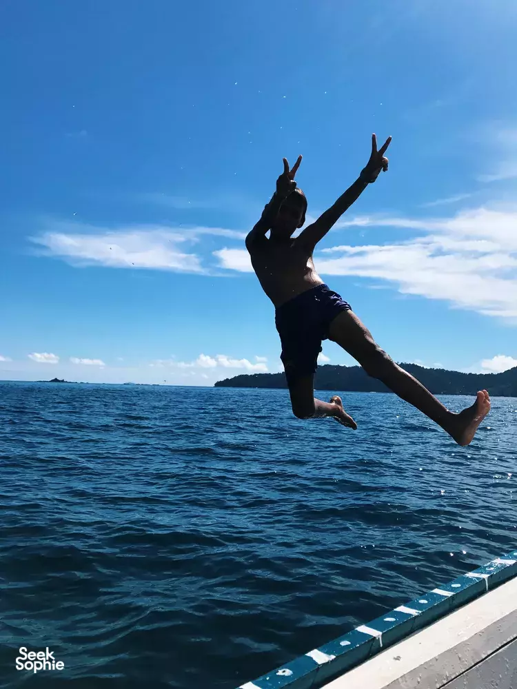 Seek Sophie option picture