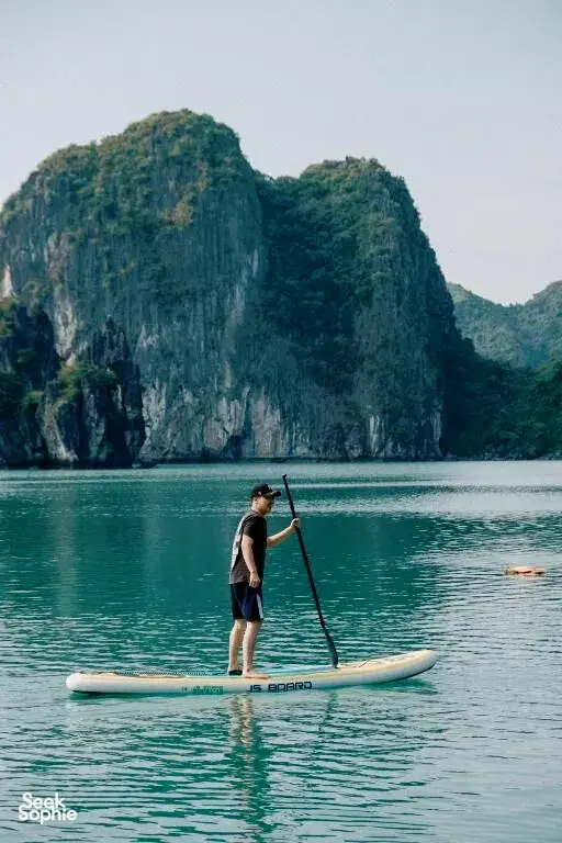 Seek Sophie option picture