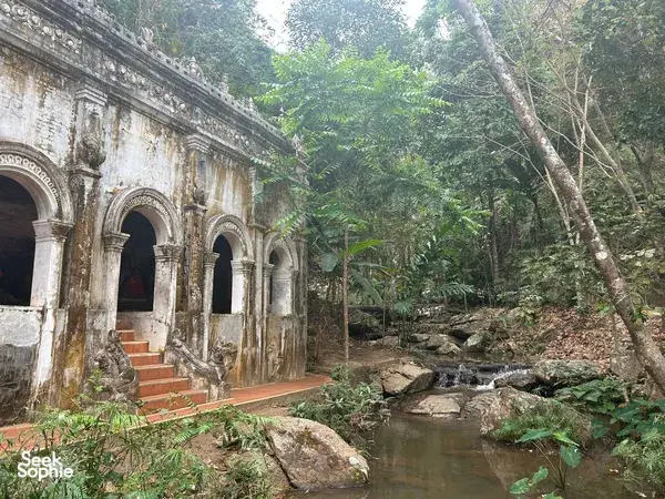 Doi Suthep Hidden Trail + Coffee Village