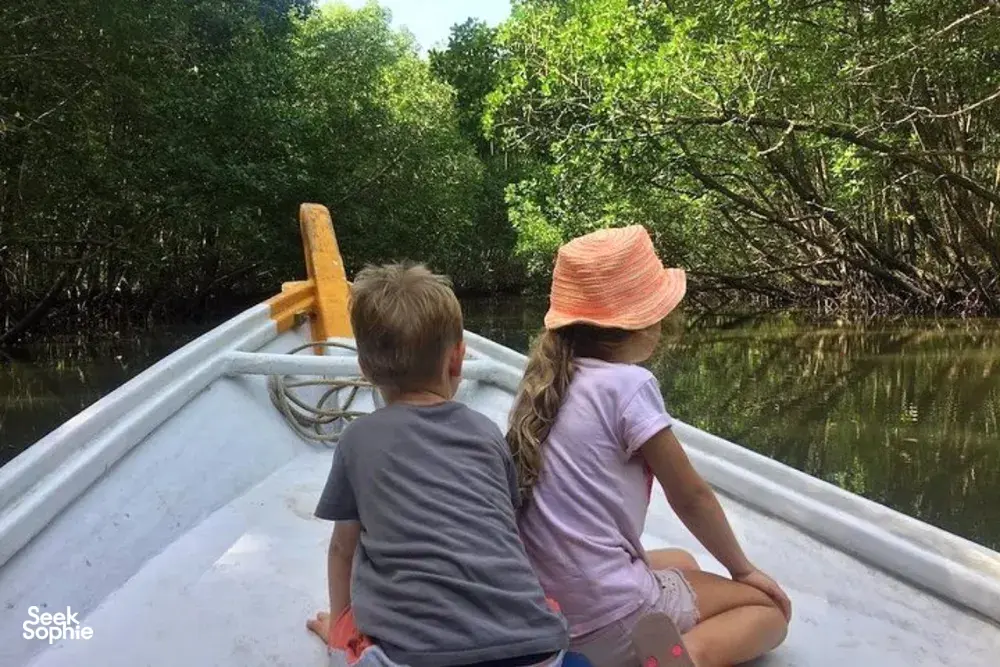 Travellers sit in a mangrove-forested boat on the Langkawi UNESCO Geopark Cruise through quiet waterways