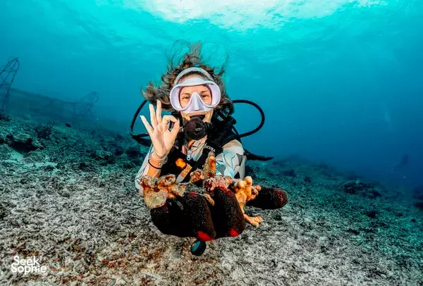 Pengalaman Penanaman Karang 3 Hari di Gili Trawangan