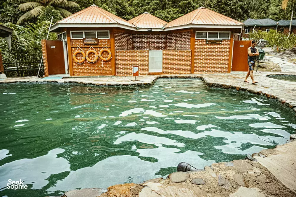 Seek Sophie option picture