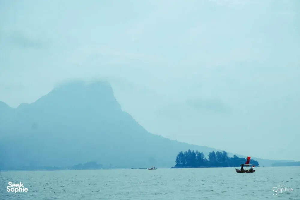 Seek Sophie option picture