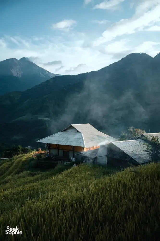 Seek Sophie option picture