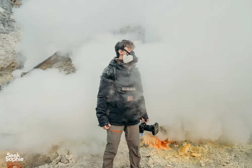 Seek Sophie option picture