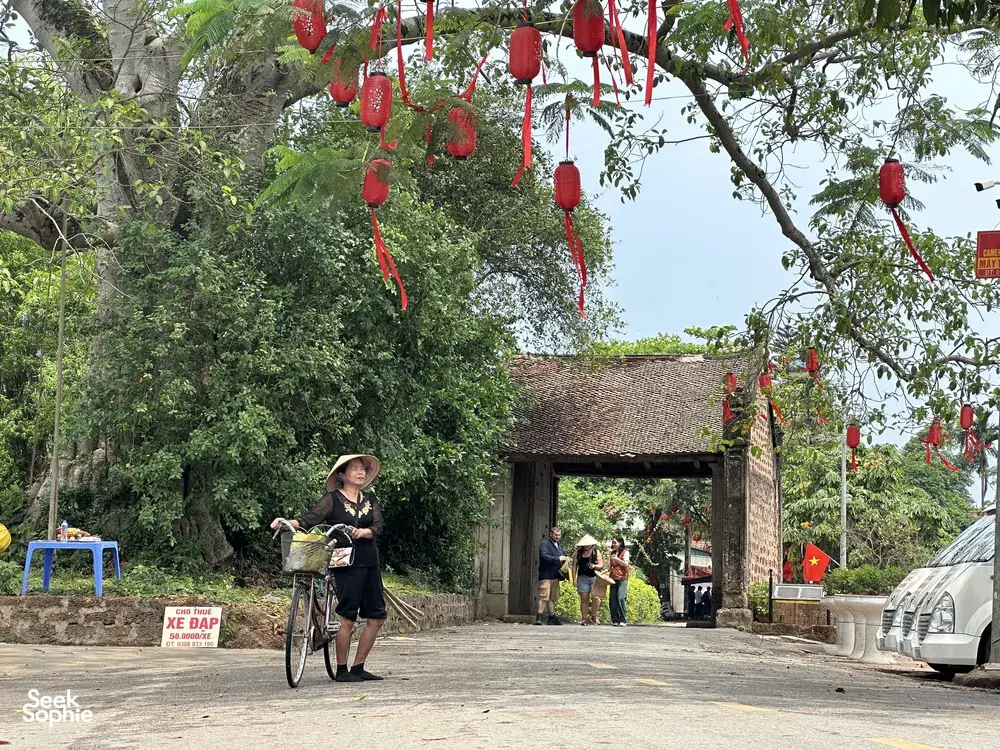 Bicycle rider in a conical hat passing through a gate decorated with red lanterns in Duong Lam ancient village near Hanoi