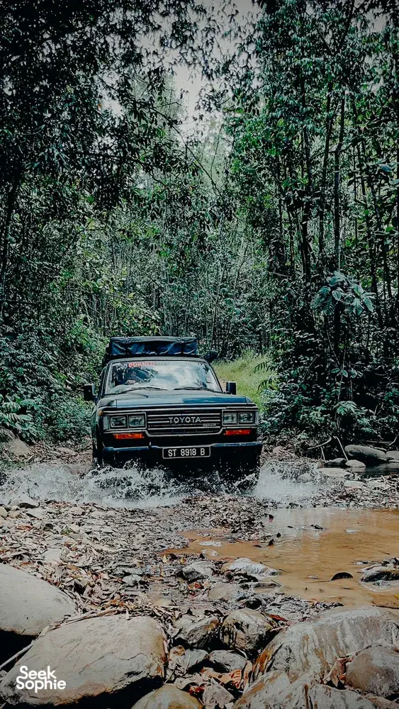 Seek Sophie option picture