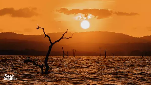 3H Sunset Safari at Kaudulla National Park