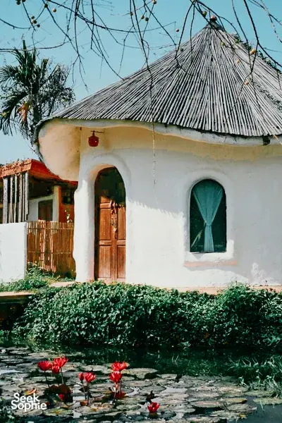 Seek Sophie option picture