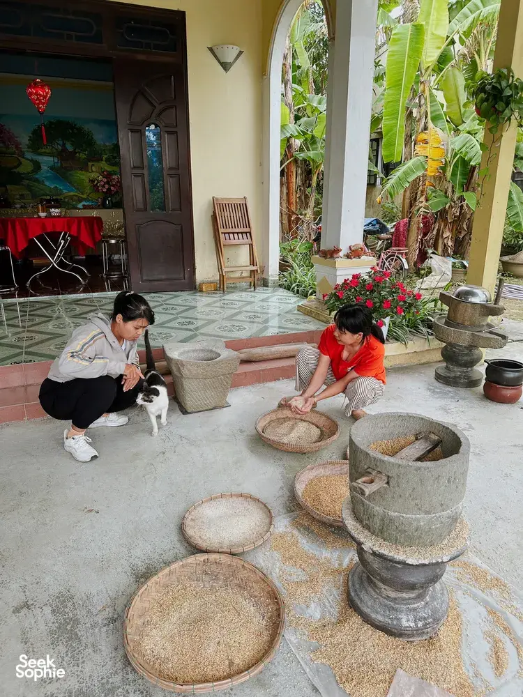 Seek Sophie option picture